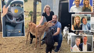 Ο κτηνοτρόφος Χρήστος Μαγειρίας δεν κρύβει ότι τόσο ο ίδιος όσο και η μητέρα του έχουν λάβει επιδοτήσεις, ενώ η σύντροφός του