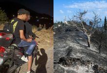 Μυστήριο εξακολουθεί να καλύπτει τους λόγους που οδήγησαν τους τρεις εμπρηστές στην Πάτρα να προκαλέσουν φωτιές, καταστρέφοντας