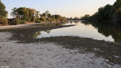 Η στάθμη του Πηνειού ποταμού στη Λάρισα καταγράφει δραματική πτώση εξαιτίας της παρατεταμένης ξηρασίας και των ακραίων