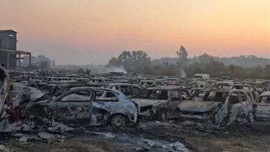 Η καταστροφική πυρκαγιά που μαίνεται στην Αχαΐα δεν άφησε τίποτα όρθιο στο πέρασμά της. Εκτός από δασικές εκτάσεις, σπίτια