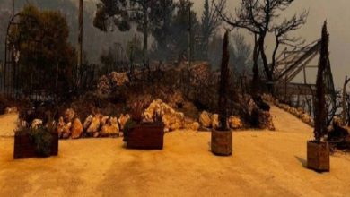 Στο σημείο επιχειρούν το σύνολο των πυροσβεστικών δυνάμεων της Ζακύνθου, με τη συνδρομή εθελοντών και την Πολιτική Προστασία