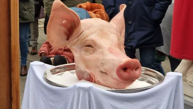 Μια μακάβρια πράξη συγκλόνισε το Παρίσι το πρωί της 9ης Σεπτεμβρίου 2025, όταν κεφάλια χοίρων βρέθηκαν τοποθετημένα μπροστά σε τζαμιά