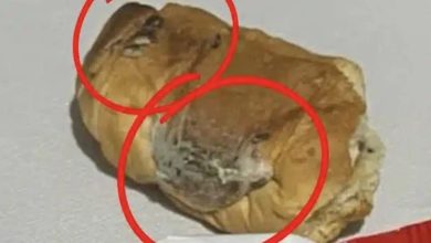 Χανιά: Περιττώματα τρωκτικών σε κρουασάν ιδιωτικής ετικέτας των Lidl – Καταγγελία με φωτογραφίες σοκ