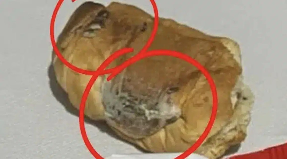 Χανιά: Περιττώματα τρωκτικών σε κρουασάν ιδιωτικής ετικέτας των Lidl – Καταγγελία με φωτογραφίες σοκ