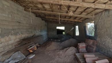 Με δείγματα από δύο σημεία στο λάκκο που έσκαψε στο σπίτι η 62χρονη για να θάψει την ηλικιωμένη μητέρα της, νέες καταθέσεις από δεκάδες άτομα