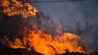 Στη σύλληψη δύο ανδρών, ηλικίας 42 και 52 ετών, προχώρησαν οι αρμόδιες Αρχές, έπειτα από πυρκαγιά που προκλήθηκε κοντά σε δασική