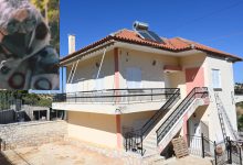 «Είσαι εντάξει με 1.000-1.500 ευρώ;». Το ύποπτο ραντεβού της 62χρονης πριν από τη σύλληψή της στη Βοιωτία εγείρει νέα ερωτήματα.