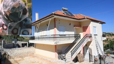 «Είσαι εντάξει με 1.000-1.500 ευρώ;». Το ύποπτο ραντεβού της 62χρονης πριν από τη σύλληψή της στη Βοιωτία εγείρει νέα ερωτήματα.