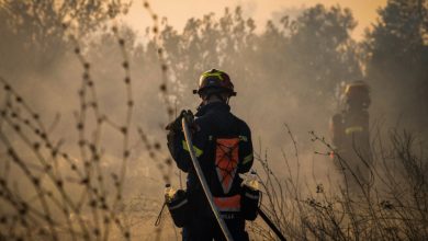 Συναγερμός έχει σημάνει στη Μεσσηνία την Τετάρτη, καθώς εκδηλώθηκαν δύο ενεργά μέτωπα φωτιάς στις περιοχές του Αβραμιού, στον Δήμο