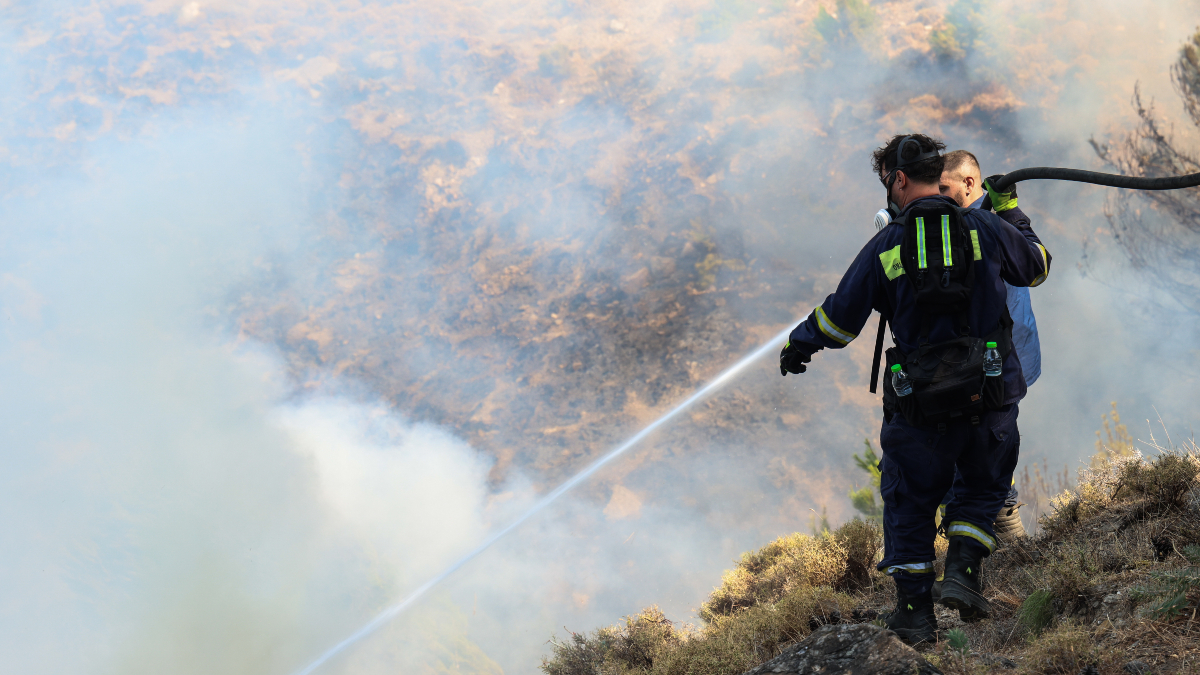 Συναγερμός έχει σημάνει στην Πυροσβεστική, καθώς φωτιά εκδηλώθηκε στην περιοχή Πλαγιαρίου Θεσσαλονίκης. Πυρκαγιές: Μεγάλη φωτιά