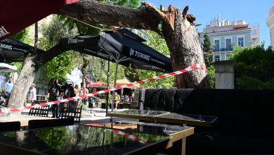 Προβλήματα προκάλεσαν οι βοριάδες που σάρωσαν την Αθήνα σήμερα καθώς σε τρεις περιπτώσεις καταγράφηκαν πτώσεις δέντρων και μάλιστα