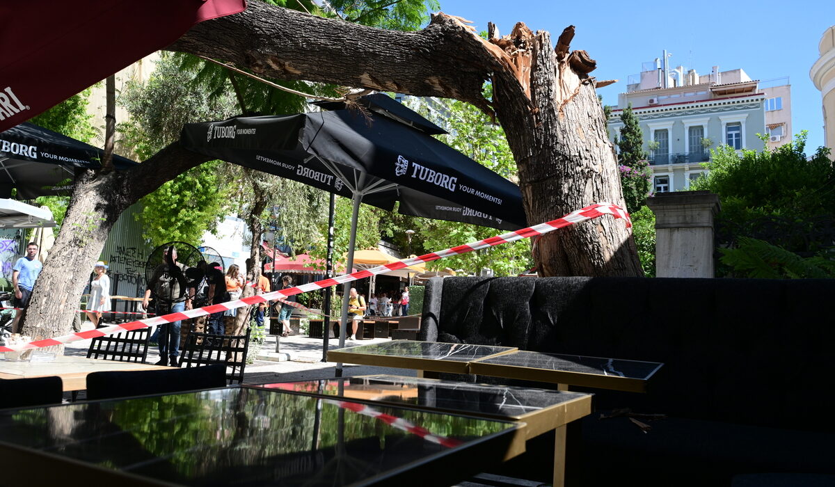 Προβλήματα προκάλεσαν οι βοριάδες που σάρωσαν την Αθήνα σήμερα καθώς σε τρεις περιπτώσεις καταγράφηκαν πτώσεις δέντρων και μάλιστα