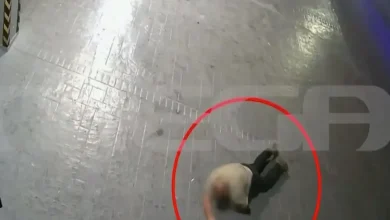 Προσωρινά κρατούμενος κρίθηκε σήμερα, Πέμπτη , ο 20χρονος γιος επιχειρηματία, ο οποίος κατηγορείται ότι κατά τη διάρκεια καταδίωξης