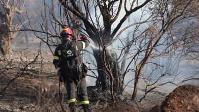 Στα χέρια των Αρχών βρίσκεται ένας άνδρας, ο οποίος συνελήφθη σήμερα με την κατηγορία του εμπρησμού από πρόθεση και κατά συρροή