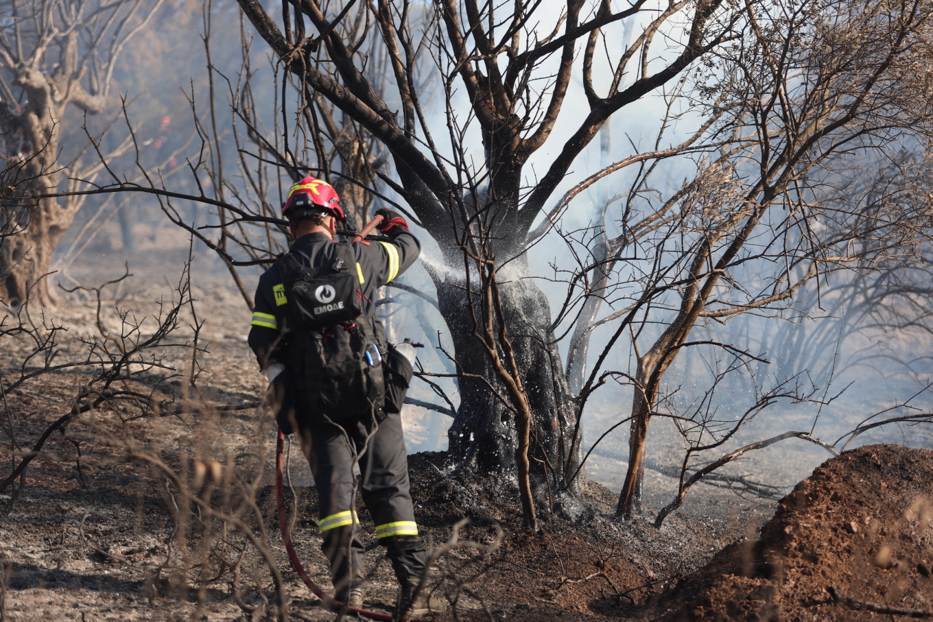 Στα χέρια των Αρχών βρίσκεται ένας άνδρας, ο οποίος συνελήφθη σήμερα με την κατηγορία του εμπρησμού από πρόθεση και κατά συρροή