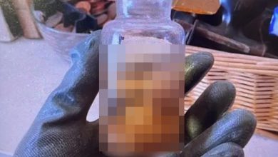 Ανατριχιαστικό είναι το εύρημα σε διαμέρισμα στην Αττική, αποτέλεσμα έρευνας που έγινε από την Υποδιεύθυνση Καταπολέμησης