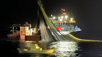 Έλληνες ψαράδες βρέθηκαν αντιμέτωποι με ύβρεις, απειλές και ακόμη και πυροβολισμούς στον αέρα από τουρκικό αλιευτικό, σε ένα επεισόδιο