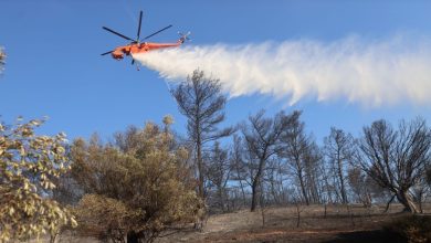 Συναγερμός σήμανε στην Πυροσβεστική Υπηρεσία το πρωί του Σαββάτου  όταν ξέσπασε πυρκαγιά σε αγροτοδασική έκταση στην περιοχή Αρχοντικό