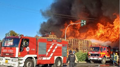 Μεγάλη φωτιά εκδηλώθηκε σε επιχείρηση στο Μενίδι, κοντά στη λεωφόρο Τατοΐου, με τις πρώτες αναφορές να κάνουν λόγο για παλέτες και