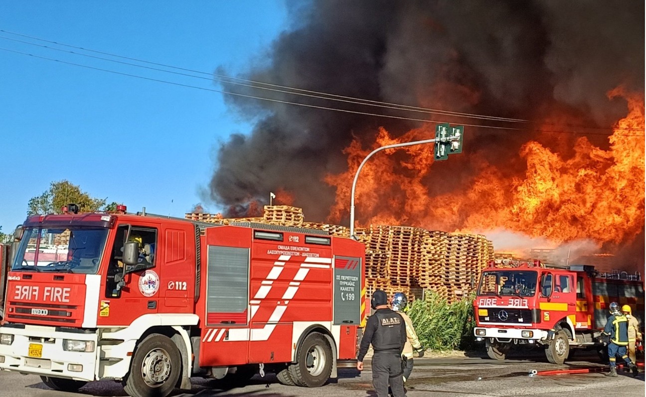 Μεγάλη φωτιά εκδηλώθηκε σε επιχείρηση στο Μενίδι, κοντά στη λεωφόρο Τατοΐου, με τις πρώτες αναφορές να κάνουν λόγο για παλέτες και