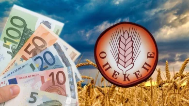 Άκρως αποκαλυπτικά, με πολλά μηδενικά σε ποσά που ζαλίζουν, είναι οι περιπτώσεις «δικαιούχων» επιδοτήσεων του ΟΠΕΚΕΠΕ