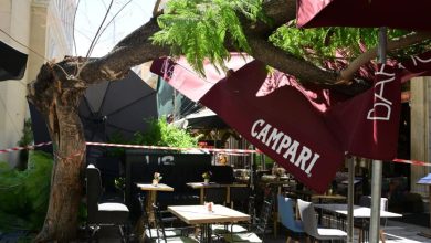 Σοκαριστικό περιστατικό σημειώθηκε το πρωί του Σαββάτου στο κέντρο της Αθήνας, όταν ένα δέντρο κατέρρευσε στην πλατεία Αγίας Ειρήνης