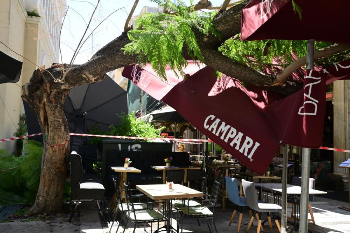 Σοκαριστικό περιστατικό σημειώθηκε το πρωί του Σαββάτου στο κέντρο της Αθήνας, όταν ένα δέντρο κατέρρευσε στην πλατεία Αγίας Ειρήνης