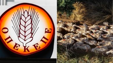 Η αυλαία ανοίγει σήμερα, Δευτέρα 22 Σεπτεμβρίου, για μία από τις μεγαλύτερες δίκες που έχουν καταγραφεί ποτέ στην Κρήτη, με επίκεντρο