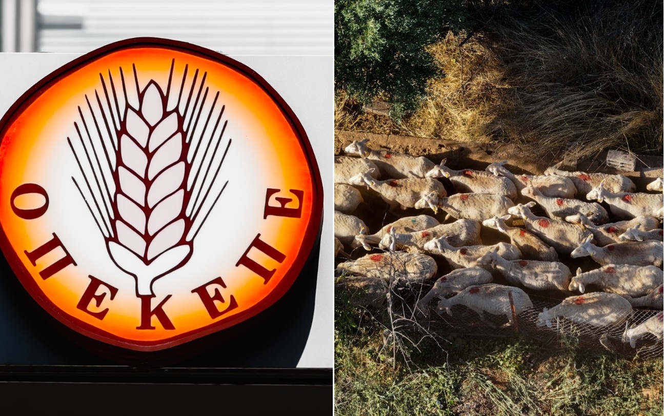 Η αυλαία ανοίγει σήμερα, Δευτέρα 22 Σεπτεμβρίου, για μία από τις μεγαλύτερες δίκες που έχουν καταγραφεί ποτέ στην Κρήτη, με επίκεντρο