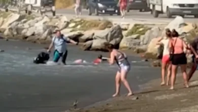 Η Σκιάθος για ακόμη ένα καλοκαίρι βρέθηκε στο επίκεντρο της προσοχής, όχι μόνο για τις πανέμορφες παραλίες της αλλά και για τις