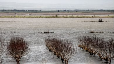 Δύο χρόνια μετά τις καταστροφικές πλημμύρες που έπληξαν τη Θεσσαλία, η καρδιά της ελληνικής γεωργίας εξακολουθεί να φέρει τα σημάδια τους.