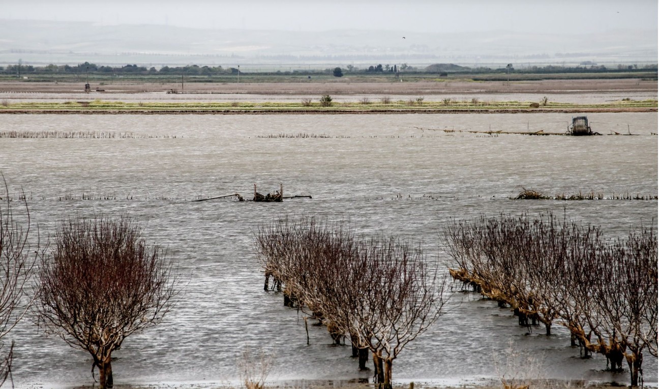 Δύο χρόνια μετά τις καταστροφικές πλημμύρες που έπληξαν τη Θεσσαλία, η καρδιά της ελληνικής γεωργίας εξακολουθεί να φέρει τα σημάδια τους.