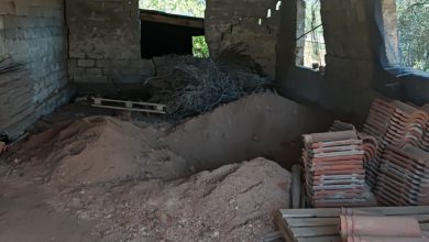 Μια νέα μαρτυρία φωτίζει ακόμη περισσότερο την ανατριχιαστική υπόθεση της 62χρονης διευθύντριας ΚΕΠ από το Κλειδί Βοιωτίας.