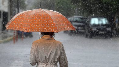 Η Δευτέρα αναμένεται με τοπικές βροχές στα νοτιοδυτικά της χώρας, ενώ οι άνεμοι θα πνέουν από βόρειες διευθύνσεις, με εντάσεις που θα φτάσουν