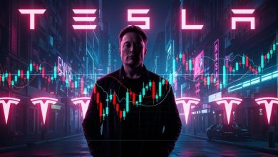 Στόχος του είναι η παραγωγή 1 εκατομμυρίου ανθρωπόμορφων ρομπότ Optimus, ένα σχέδιο που ο ίδιος θεωρεί ικανό να αλλάξει ριζικά τον κόσμο