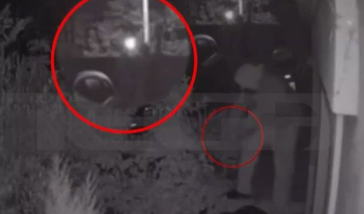 Το δρόμο για τη φυλακή πήρε σήμερα ο 29χρονος μάγειρας, ο οποίος κατηγορείται για απόπειρα ανθρωποκτονίας, μετά την απολογία του