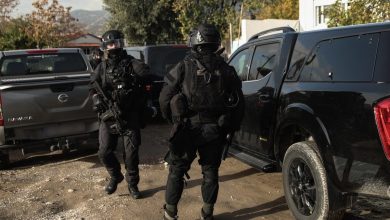 Η Ελληνική Αστυνομία κατάφερε να συλλάβει 13 Τούρκους στον Έβρο, αφού είχε πρώτα εντοπίσει την κρυψώνα όπου έκρυβαν τα όπλα