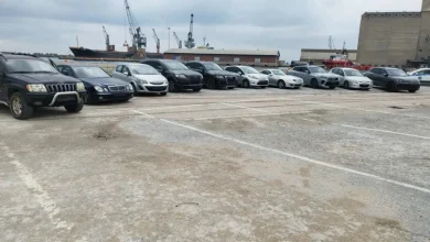 Τον οργανωμένο τρόπο δράσης της σπείρας που έπαιρνε επιδοτήσεις εκατομμυρίων με απάτε σε βάρος του ΟΠΕΚΕΠΕ περιγράφει η Ελληνική Αστυνομία