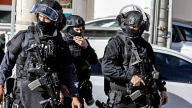 Ισχυρή παρουσία και αποτελεσματικότητα επέδειξε η Ελληνική Αστυνομία στη Δυτική Αττική, με επίκεντρο την περιοχή της Μάνδρας, σε μια