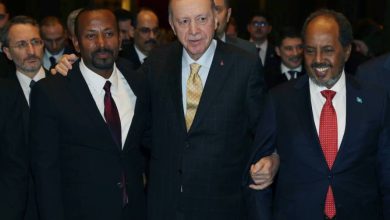 Η Τουρκία έχει αναπτύξει μεθοδικά μια νέα μορφή αυτοκρατορίας – όχι με όπλα ή αποικίες, αλλά με θεσμούς, σύμβολα και ήπια ισχύ.