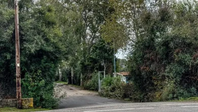 Οι έρευνες για το διπλό φονικό στη Φοινικούντα προχωρούν με αμείωτη ένταση, καθώς οι αναλυτές της Διεύθυνσης Ανθρωποκτονιών