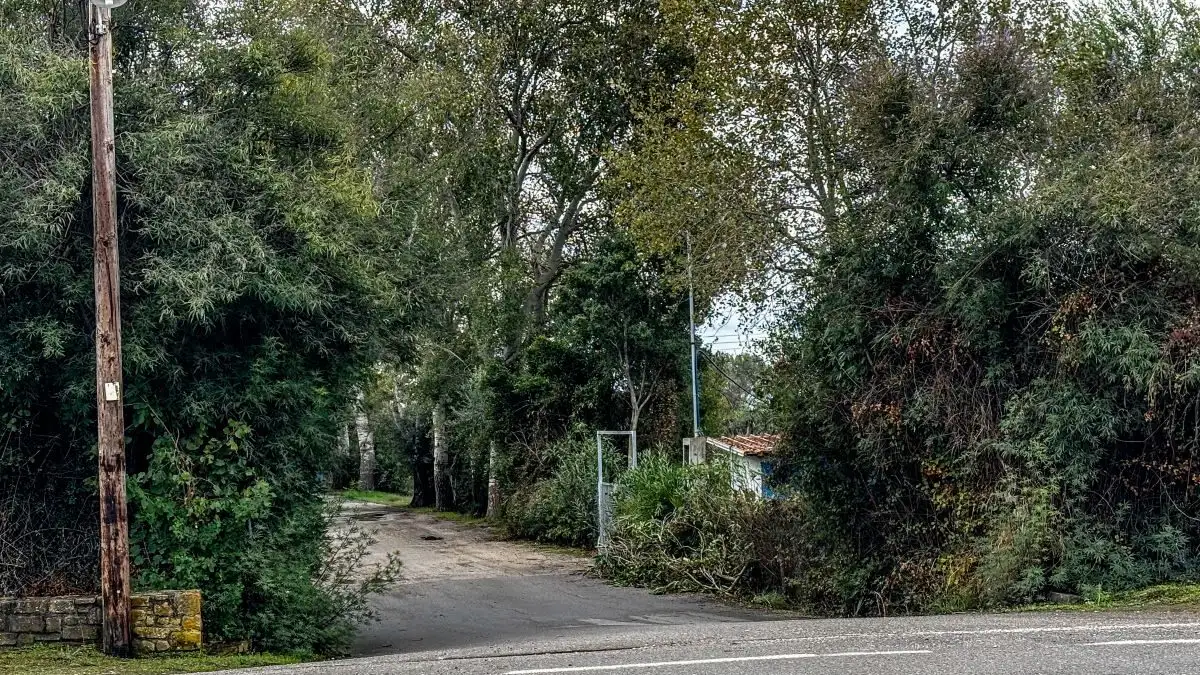 Οι έρευνες για το διπλό φονικό στη Φοινικούντα προχωρούν με αμείωτη ένταση, καθώς οι αναλυτές της Διεύθυνσης Ανθρωποκτονιών