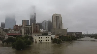 Η ανεύρεση δεκάδων σορών στις όχθες και τα έλη του ποταμού Oak στο Χιούστον έχει προκαλέσει έντονη ανησυχία στις Ηνωμένες Πολιτείες