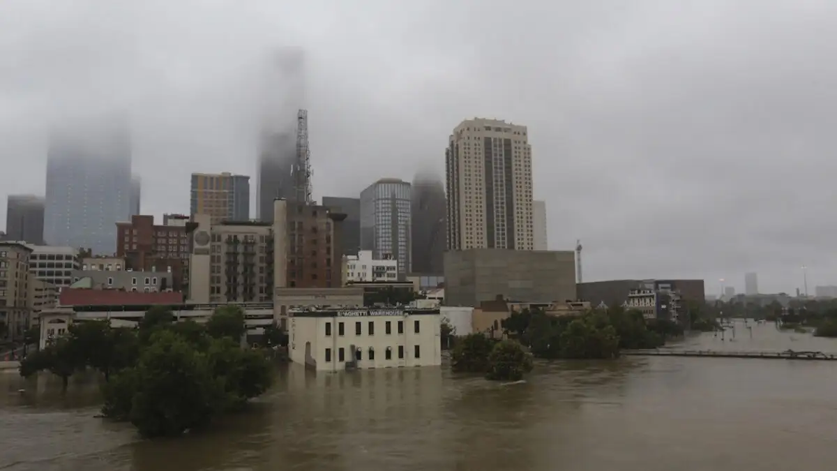 Η ανεύρεση δεκάδων σορών στις όχθες και τα έλη του ποταμού Oak στο Χιούστον έχει προκαλέσει έντονη ανησυχία στις Ηνωμένες Πολιτείες
