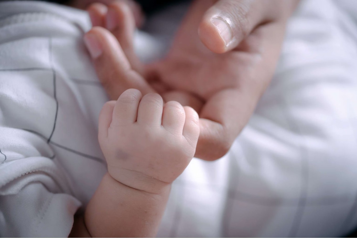 Αναστάτωση έχει προκληθεί στη Λάρισα από ένα τραγικό περιστατικό που σημειώθηκε σε οικία της περιοχής, με θύμα ένα βρέφος μόλις 18 μηνών.