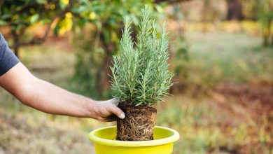 Ελλάς το μεγαλείο σου! Μια εξαιρετικά δύσκολη και κοπιαστική κατάσταση βίωσε ένας συνταξιούχος στην Θεσσαλονίκη