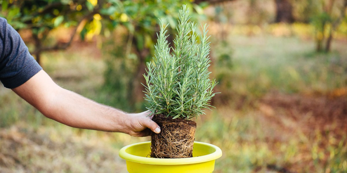 Ελλάς το μεγαλείο σου! Μια εξαιρετικά δύσκολη και κοπιαστική κατάσταση βίωσε ένας συνταξιούχος στην Θεσσαλονίκη