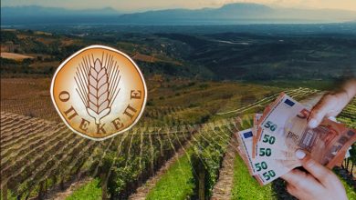 Αιφνιδιαστική επίσκεψη πραγματοποίησε σήμερα η OLAF, η Ευρωπαϊκή Υπηρεσία Καταπολέμησης της Απάτης, στα κεντρικά γραφεία