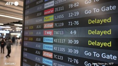 Προσγειώσεις και απογειώσεις πτήσεων στα αεροδρόμια της Νότιας Κορέας το πρωί της Πέμπτης ανεστάλησαν για μισή και πλέον ώρα.