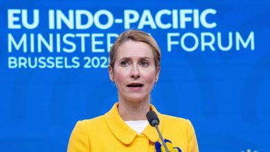 Η πρόσφατη δήλωση της Κάγια Κάλλας, ύπατης εκπροσώπου της ΕΕ για θέματα εξωτερικής πολιτικής, πυροδότησε έντονες αντιδράσεις